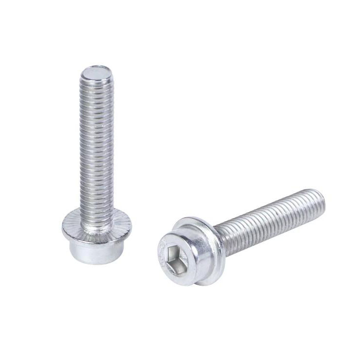 DIN251 Hexagon Socket Head with Serrated Flange Screws